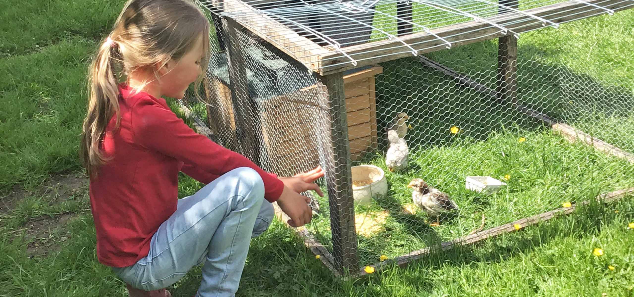 Tiere streicheln und beobachten